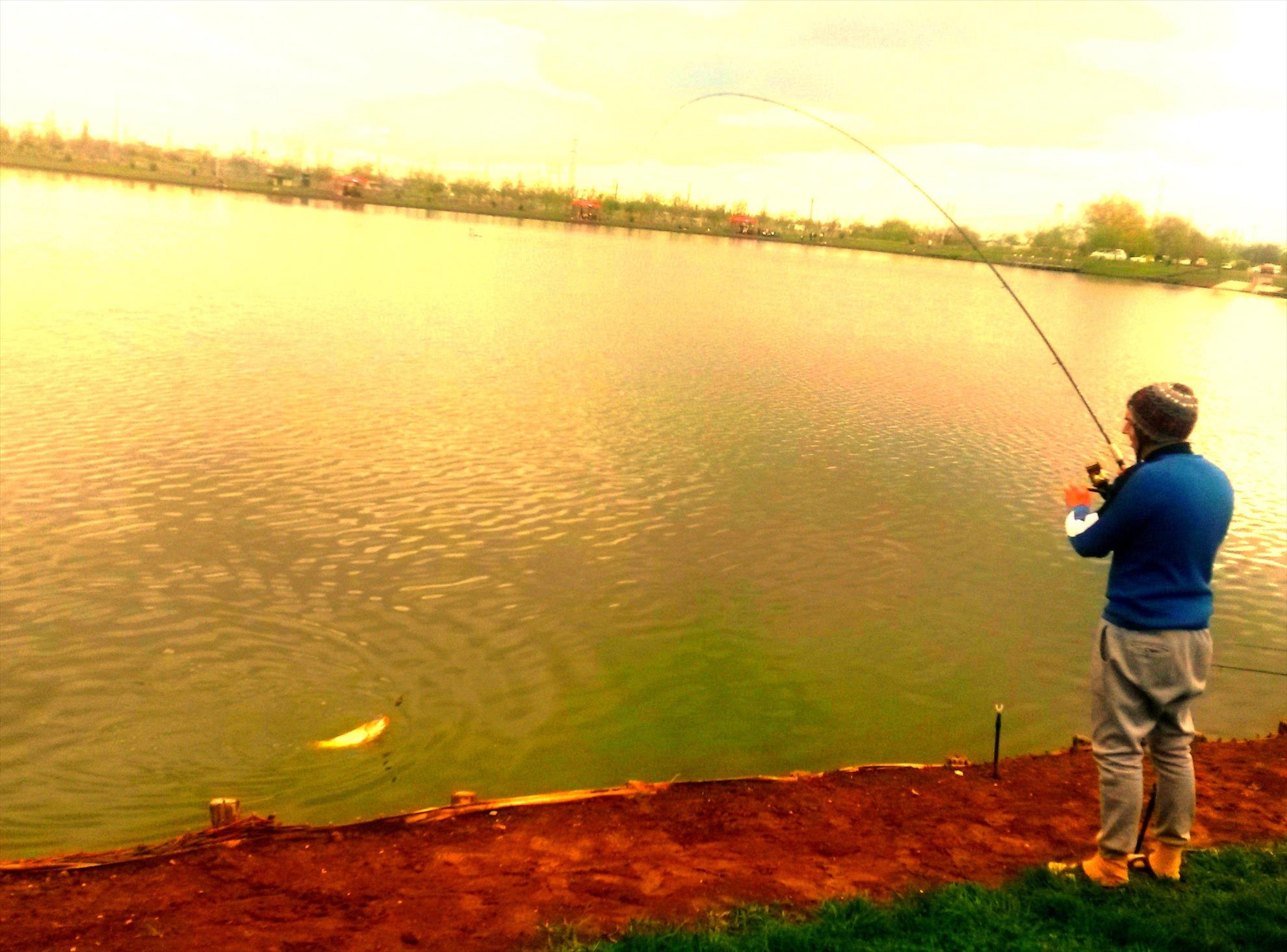 Floarea Popestiului 12 - 13 apr. - 20140413130639.jpg